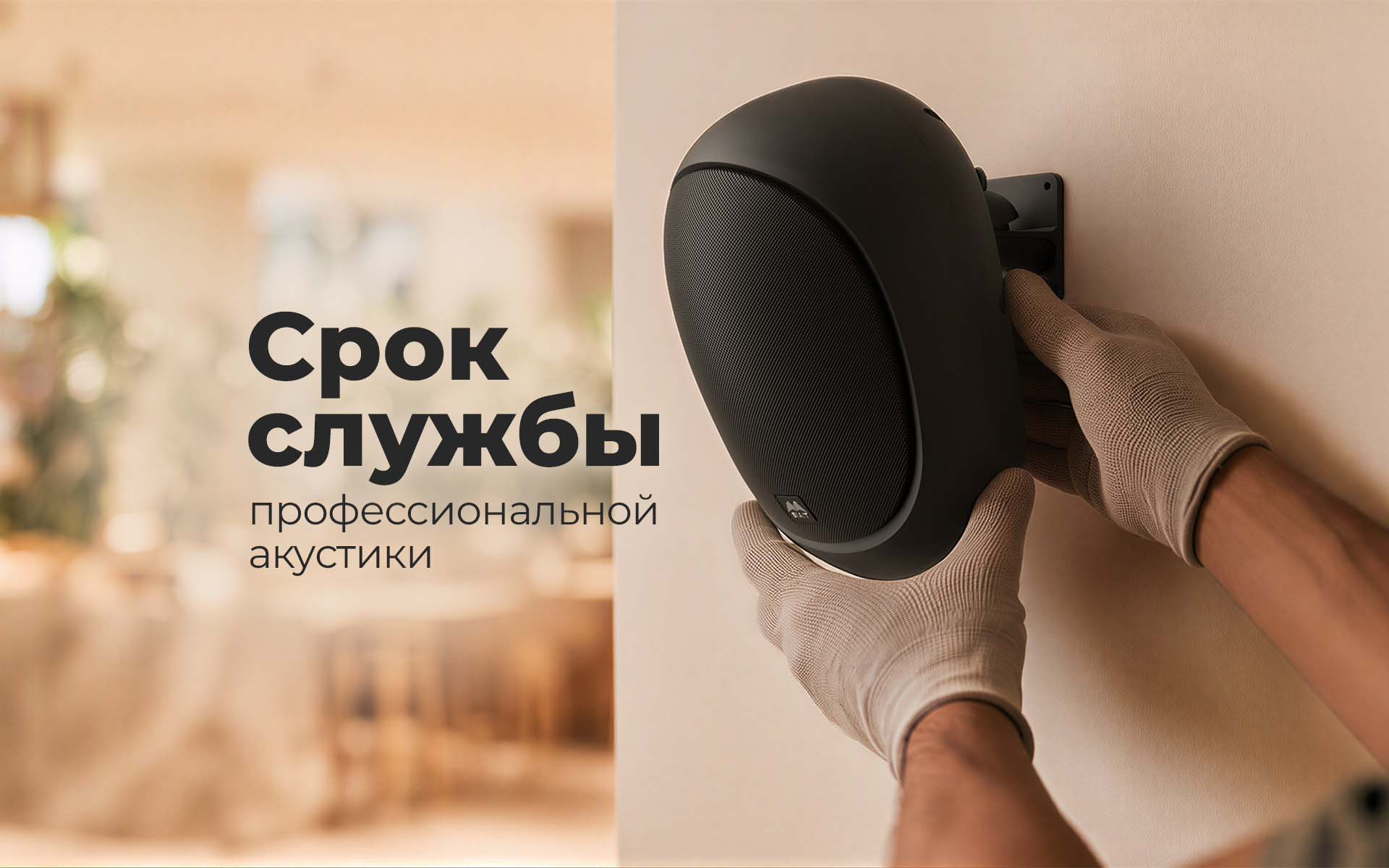 Сколько служит профессиональная акустика и от чего зависит срок её работы